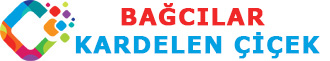 https://www.instagram.com/kardelen.cicekcilikbagcilar
